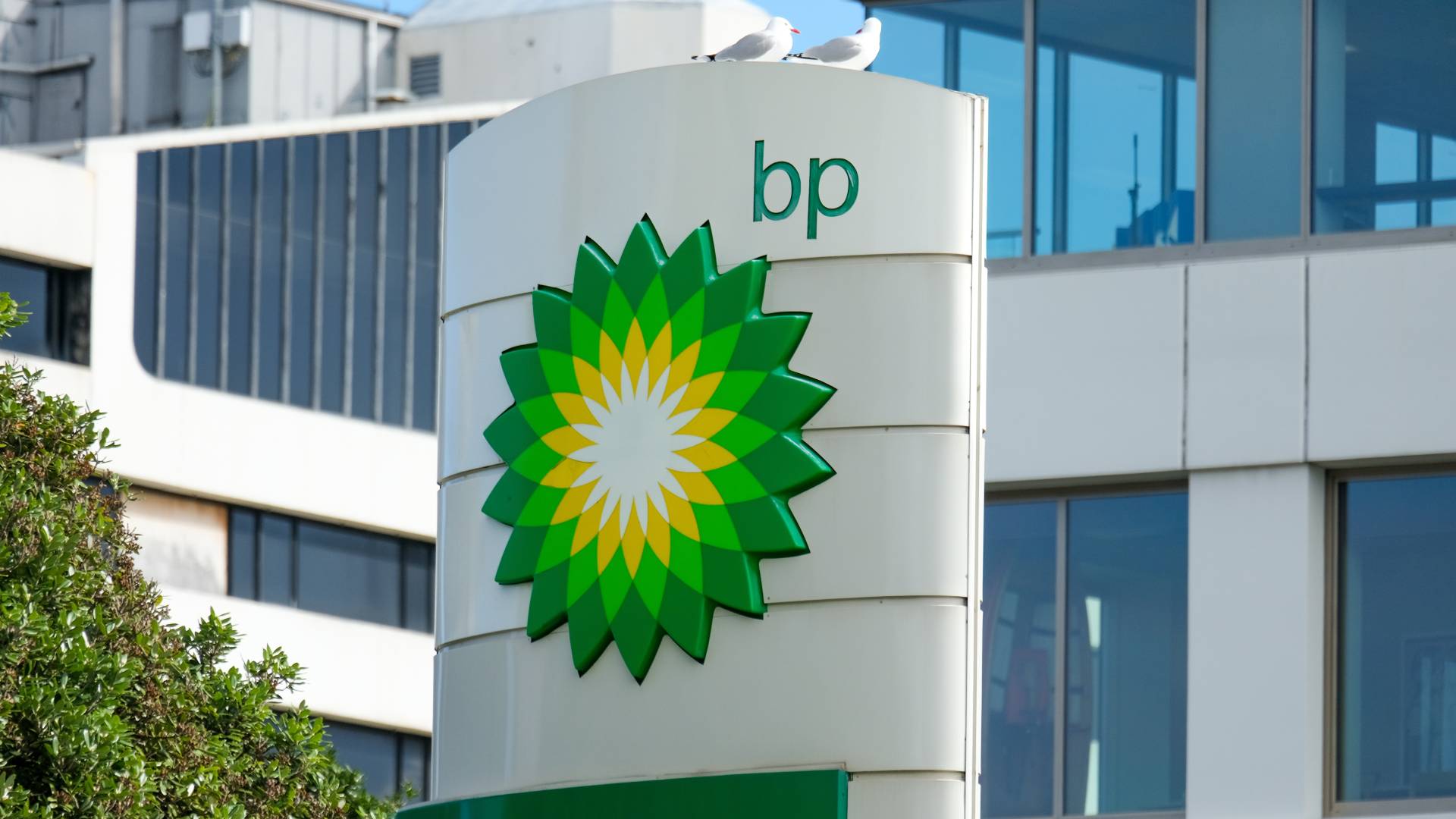bp