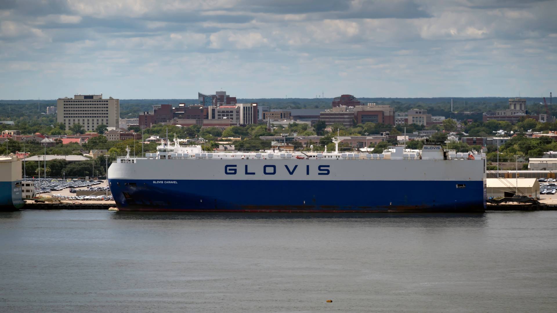 This image has an empty alt attribute; its file name is Glovis.jpg