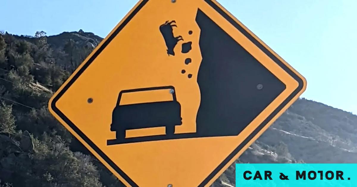 It’s raining cows – where is the strangest sign on the planet?