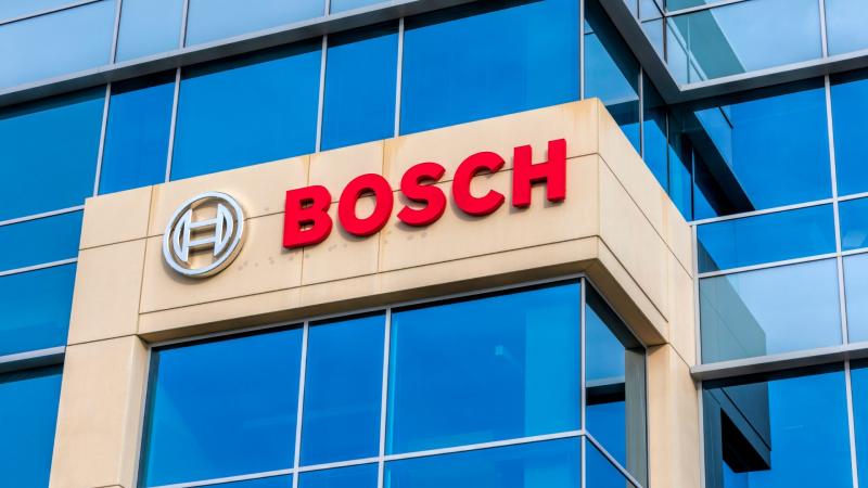 bosch rosia stratiotika