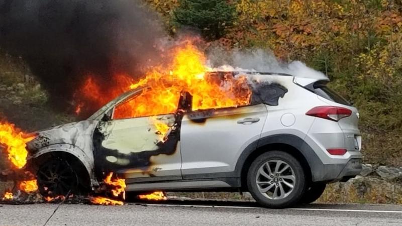 Kia & Hyundai Fire 3