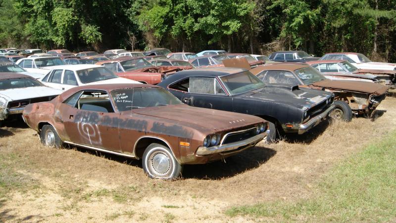 Car graveyard