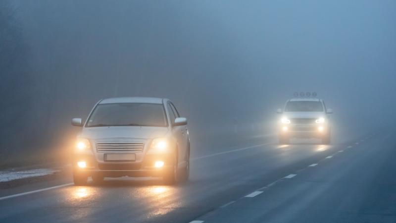 Car fog lights