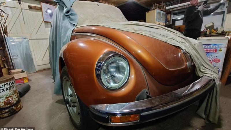 Volkswagen Beetle