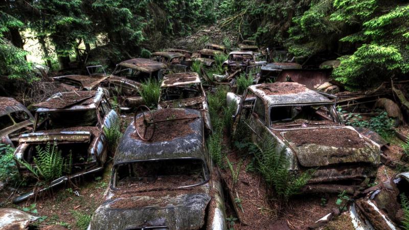 Αυτοκίνητα παγωμένα στο δάσος