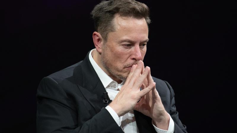 Elon Musk BYD