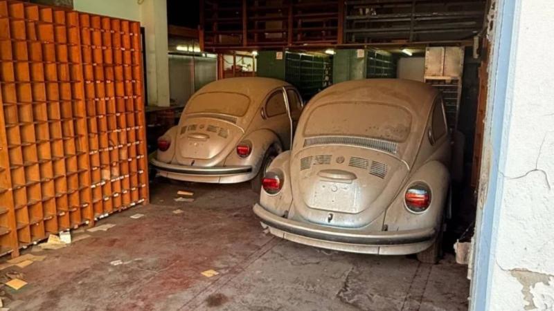 old-vw-beetles-2