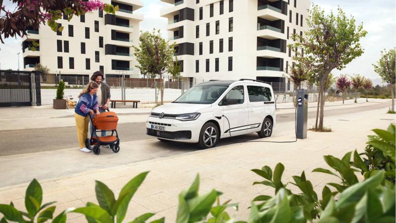 Caddy-Life-3