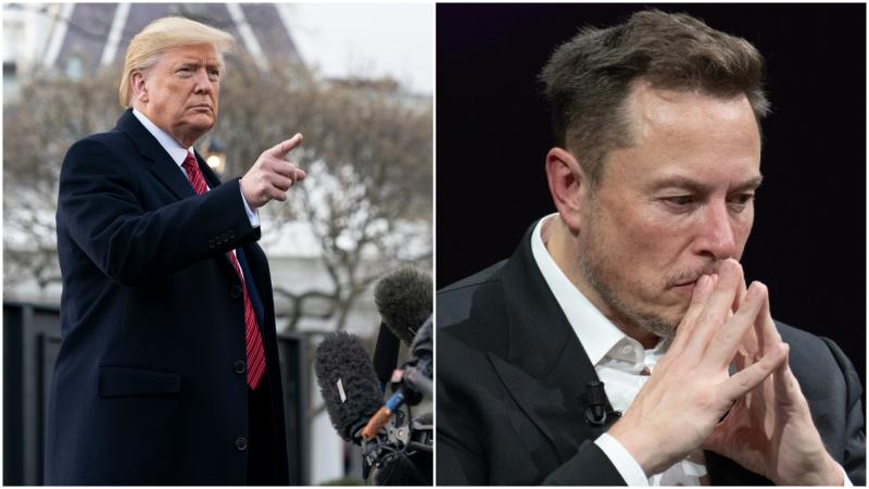donald trump elon musk