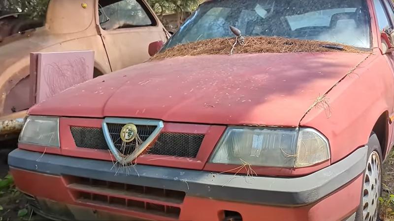 Alfa Romeo 33