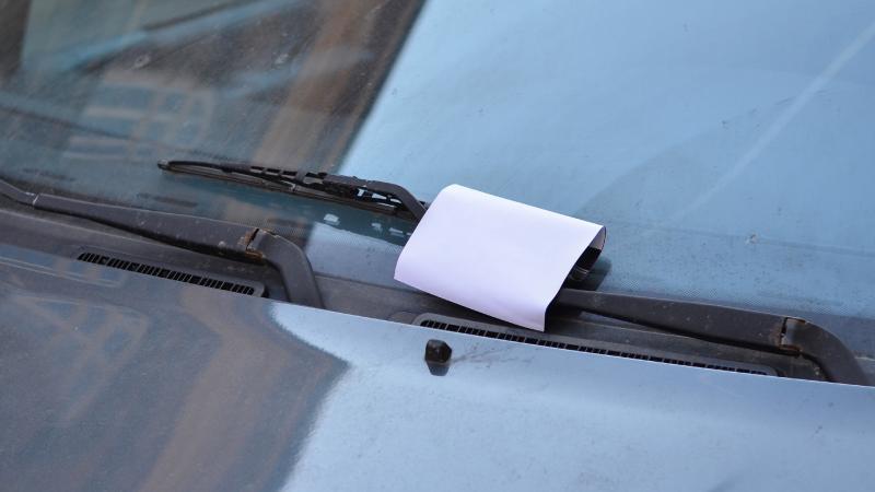 Paper windscreen