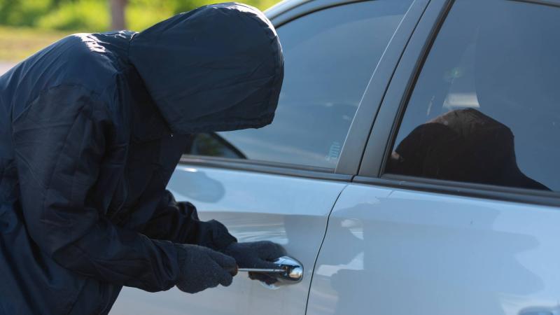 car thief_0 (1)