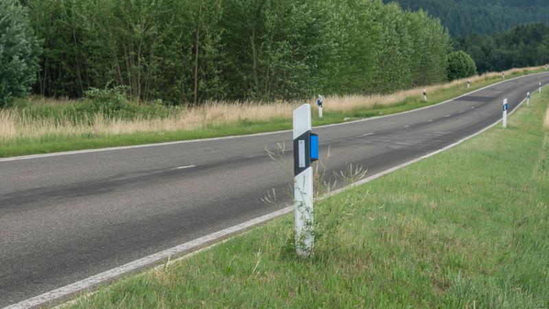 Blue reflectors 1