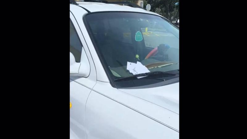 hit and run Florida 4