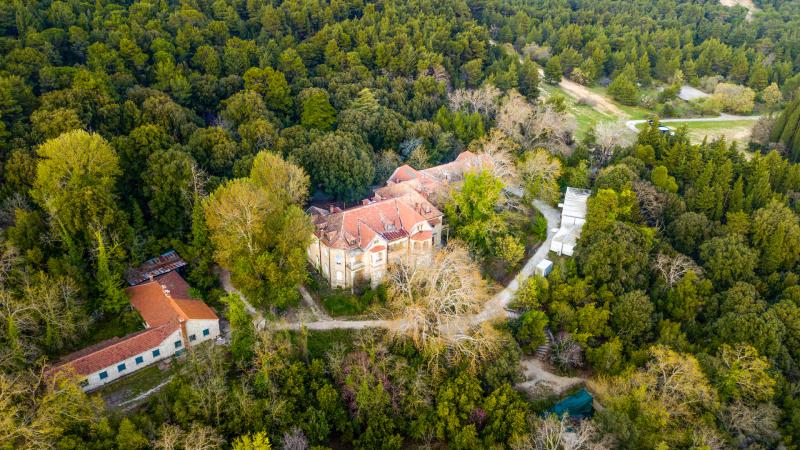 Βασιλικά κτήματα