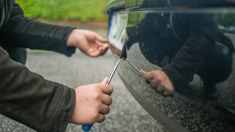 car theft licence plate