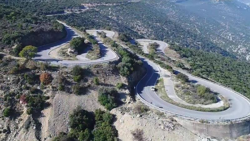 κωλοσούρτης