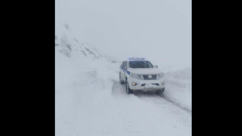 περιπολικά 