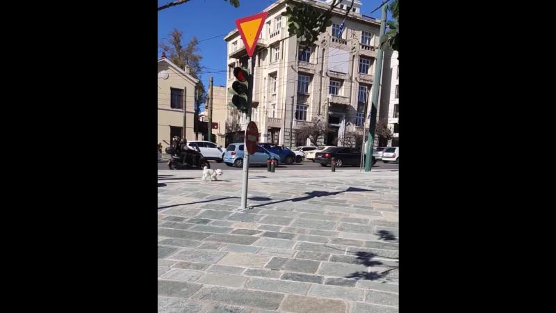 fanari vasilissis olgas