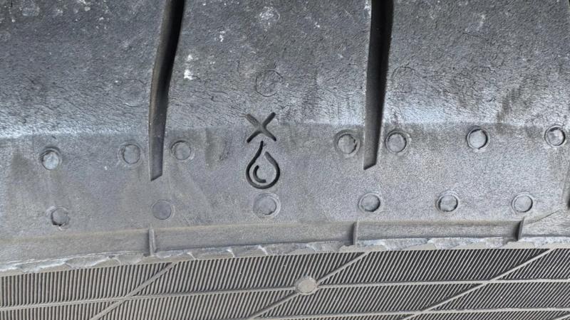 stagona nerou elastika