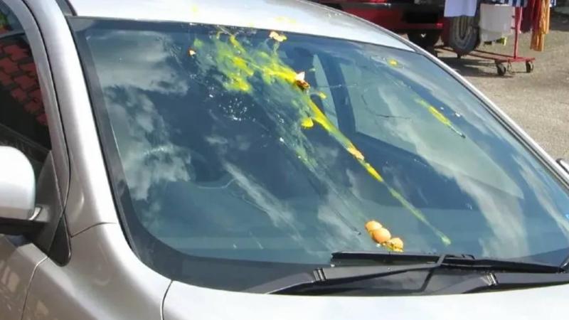 κόλπο με το αυγό