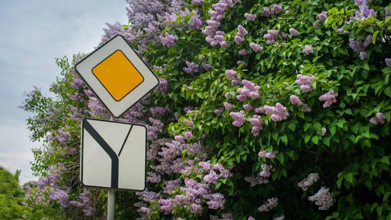 άγνωστο σήμα