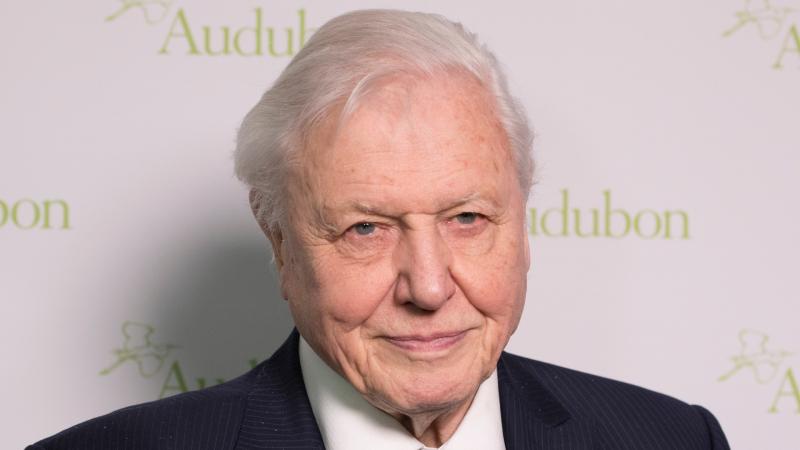 David Attenborough