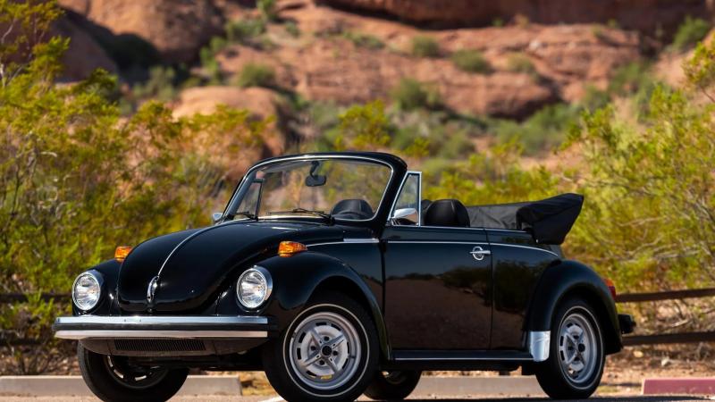 vw beetle