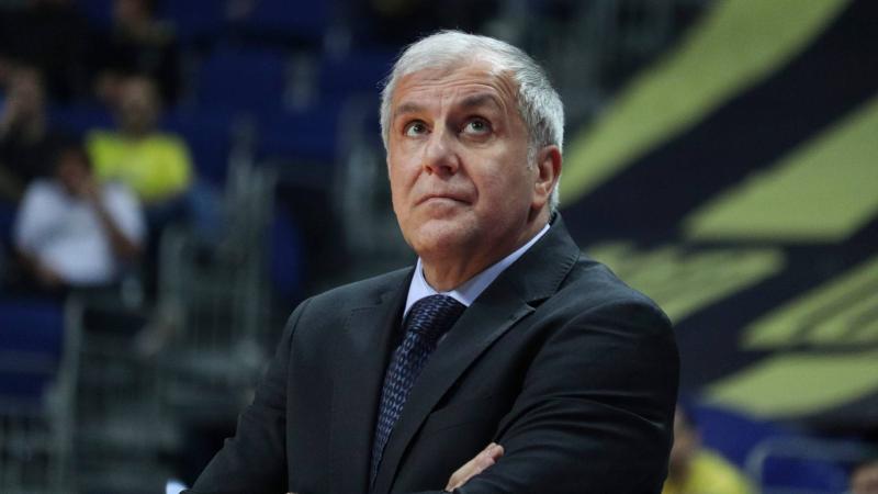 obradovic 