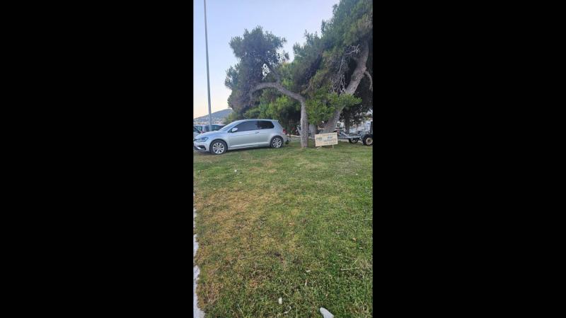 γκαζόν 