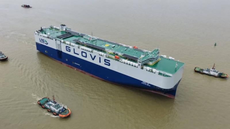 Glovis Nova 2