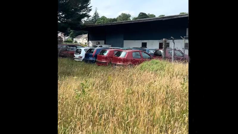 fiat ireland dealer