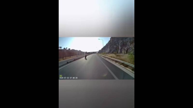 βίντεο 