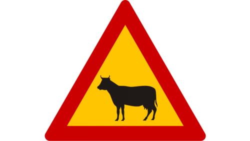 pinakida oikosita
