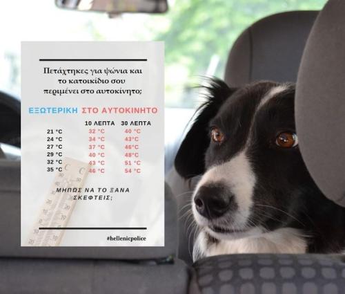 astynomia mhnyma katoikidia 4