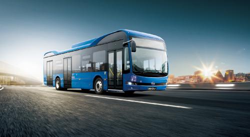 BYD bus