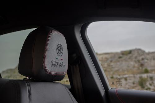 Alfa Romeo Tributo Italiano