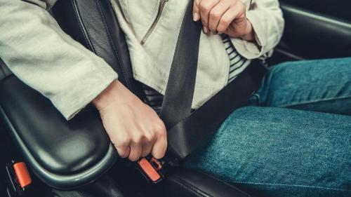 Apple safety belt 2