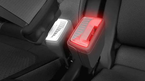 Apple safety belt 3