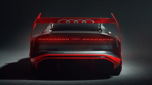 Audi S1 e-tron quattro Hoonitron 3