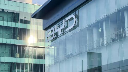 Επένδυση μαμούθ BYD 