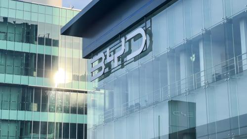 BYD 2