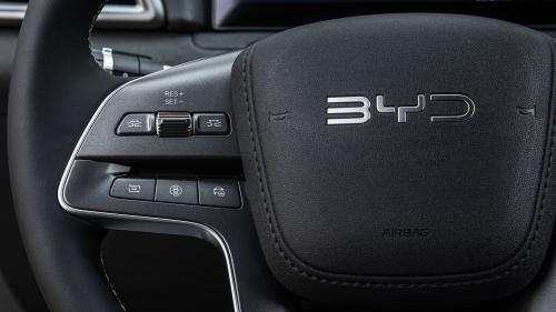BYD ATTO 2 20