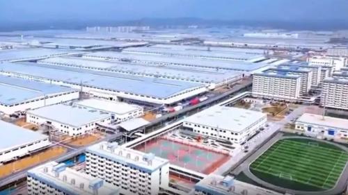 BYD Zhengzhou factory 2025 5