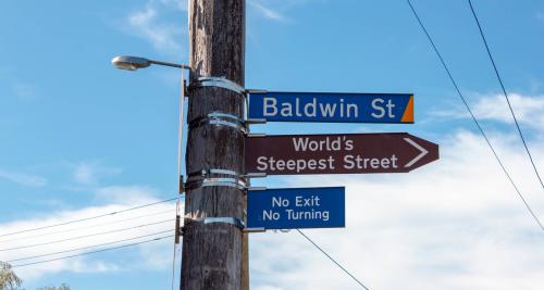 Baldwin Street 2