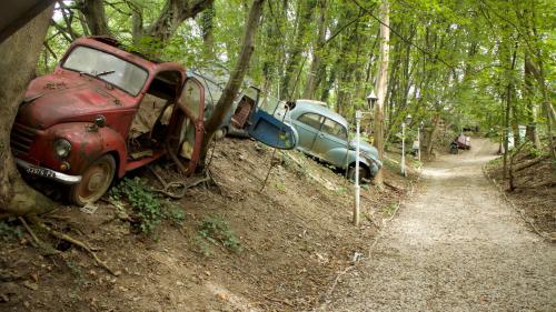 Barn find 3