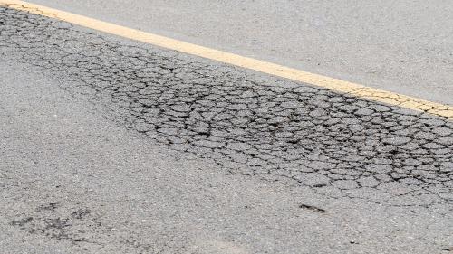 Crocodile cracking road 2