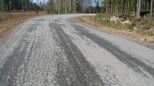 Crocodile cracking road 4