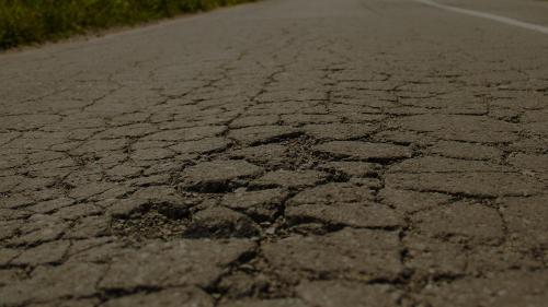 Crocodile cracking road 5