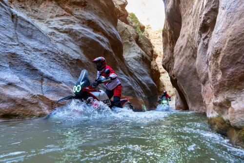 Ducati DesertX Rally